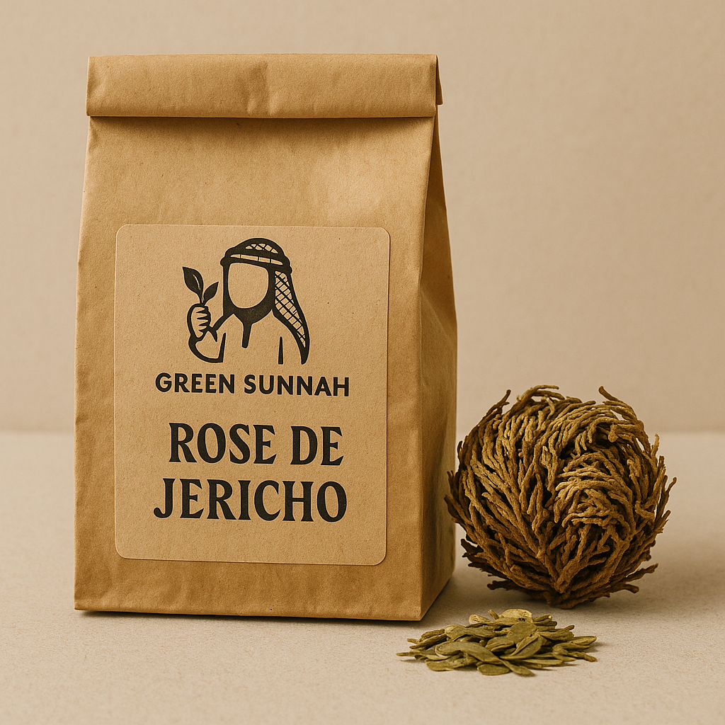 🌸 Rose de Jéricho – Chajarat Maryam